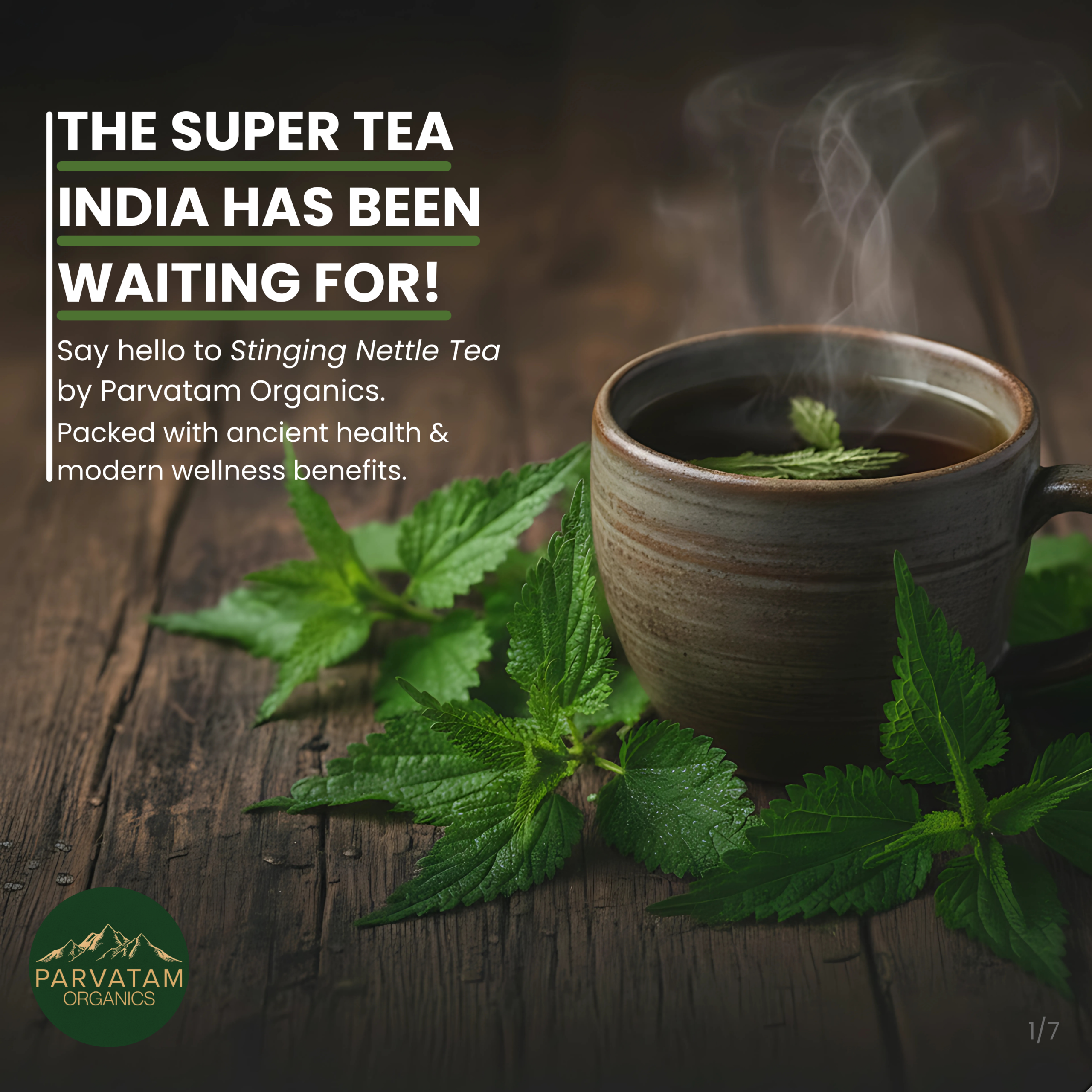 Stinging Nettle Tea - Image 10