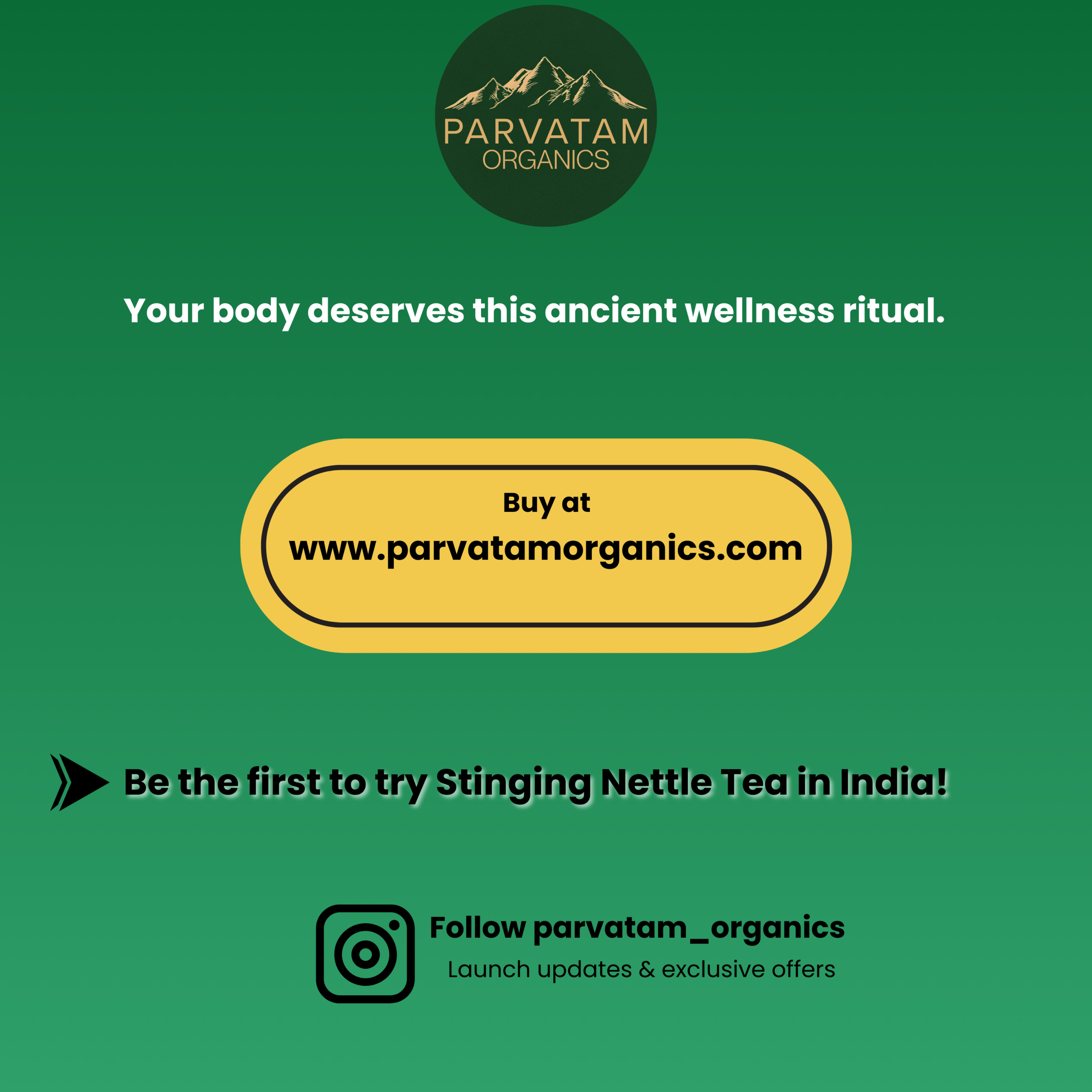 Stinging Nettle Tea - Image 5